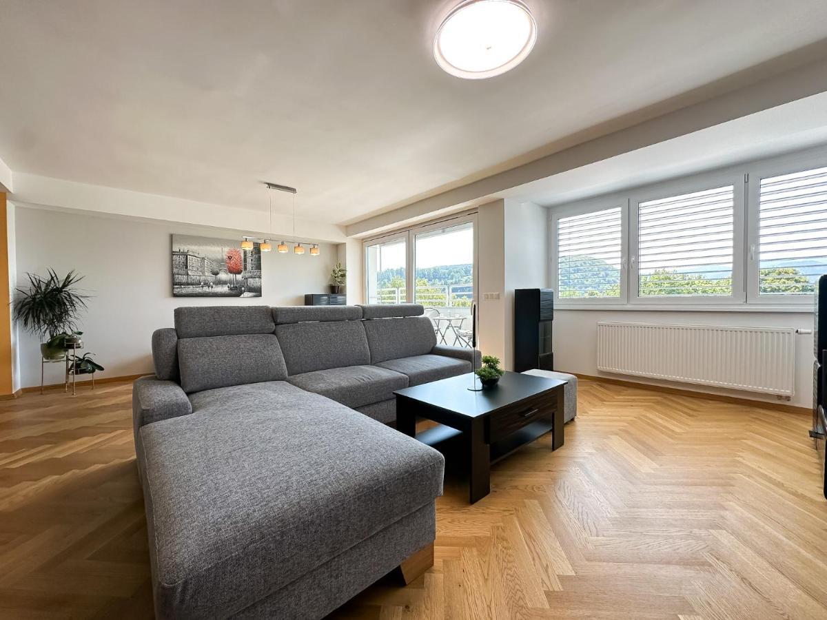 Lux Residence, A/C, Vip Parking, City View บันสกาบิสตรีตซา ภายนอก รูปภาพ